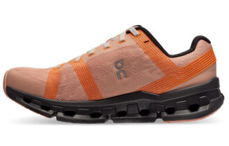 Cloudgo «Rosamagnet»