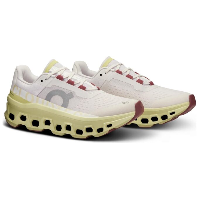 Cloudmonster «Frost Akazie»