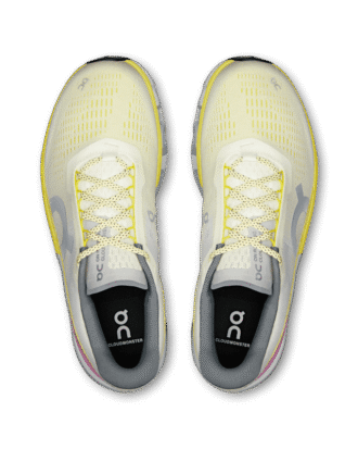 Herren Cloudmonster 2