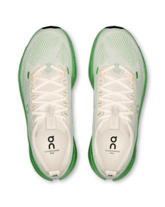 Herren Cloudsurfer Max